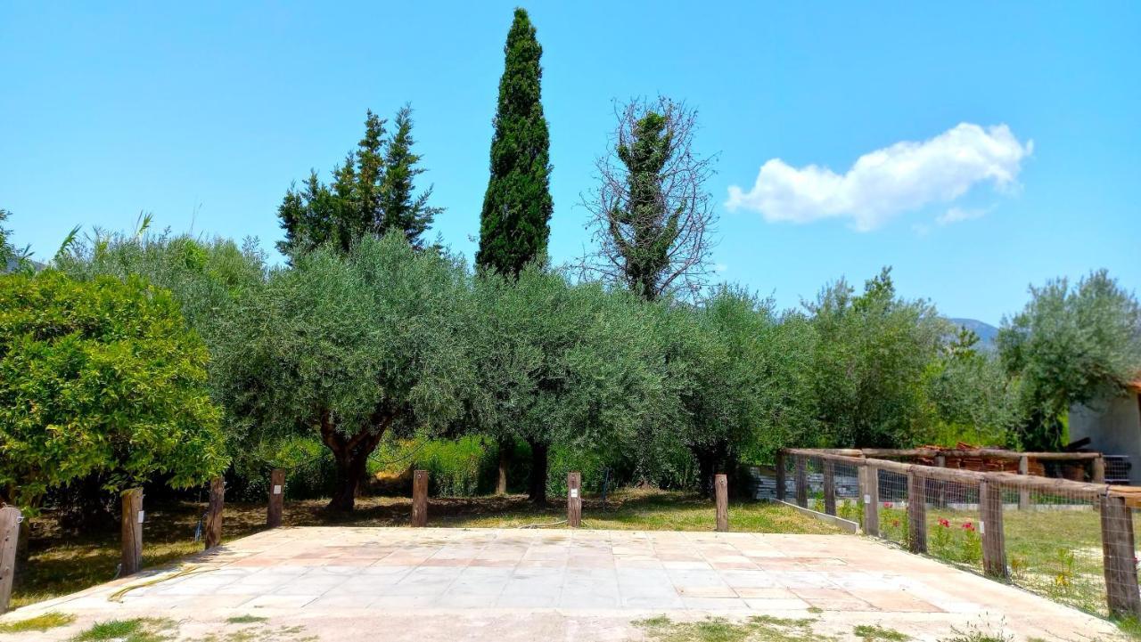 Villa Platanos Vasilikí Exterior foto
